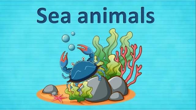 Sea animals. Морские животные. Видео словарь Sea animals. Морские животные. Видео словарь