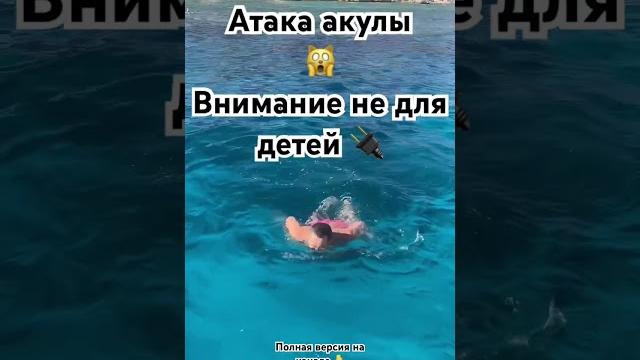 Атака акулы в египте, начало Атака акулы в египте, начало