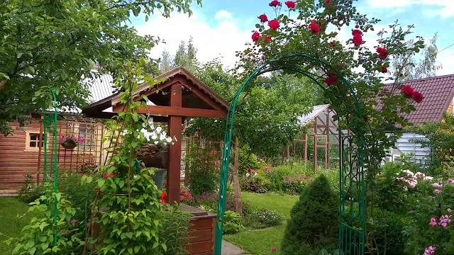 Наши 6 соток-мало земли/ Как разместить огород, сад , цветы... Наши 6 соток-мало земли/ Как разместить огород, сад , цветы...
