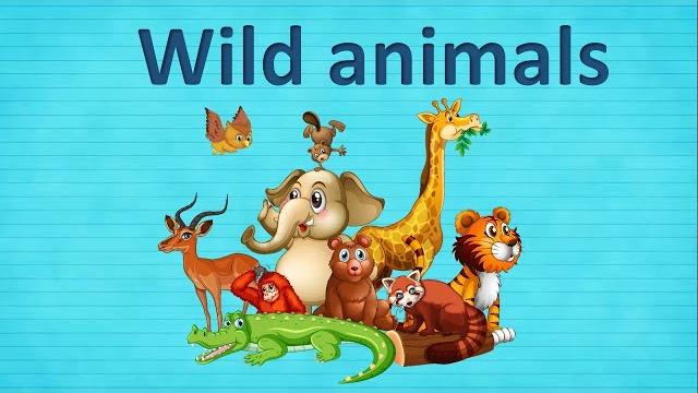 Wild animals. Дикие животные. Видео словарь Wild animals. Дикие животные. Видео словарь