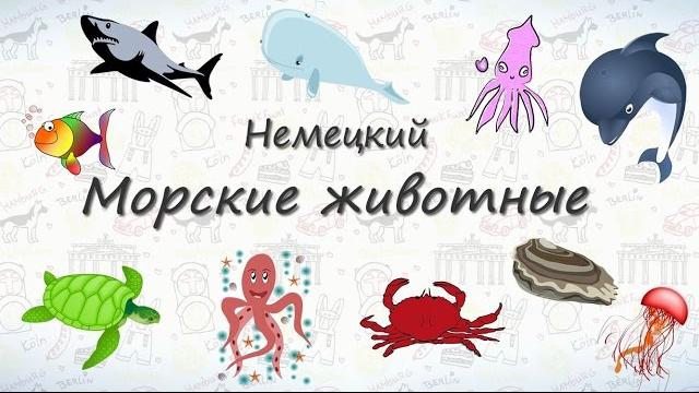 Морские животные на немецком. Морские животные на немецком.