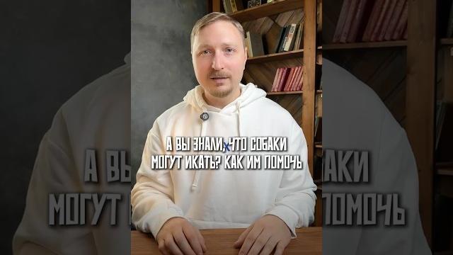 А вы знали, что собаки могут икать? Как им помочь А вы знали, что собаки могут икать? Как им помочь