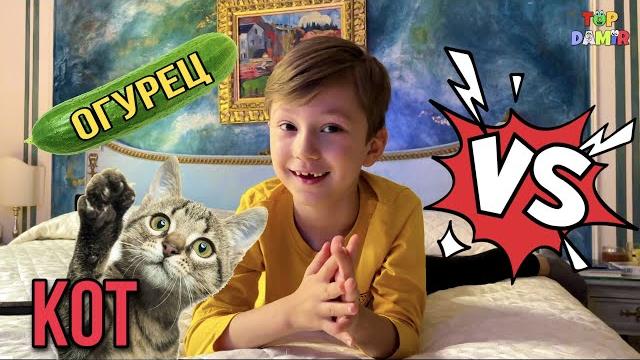 КОТ И ОГУРЕЦ/ Коты боятся огурцов эксперимент КОТ И ОГУРЕЦ/ Коты боятся огурцов эксперимент