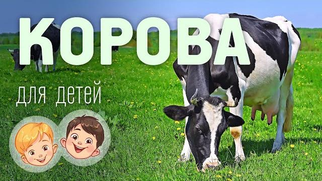 Корова. Видео про животных для детей 3+ Корова. Видео про животных для детей 3+
