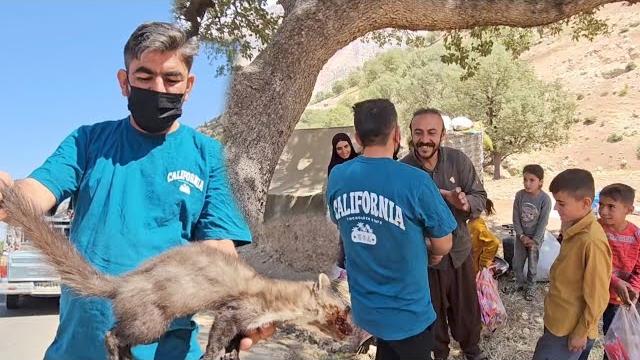 Adventure in Iran: Living with Nomads, a Heartfelt Family Visit, and Unforgettable Experiences Adventure in Iran: Living with Nomads, a Heartfelt Family Visit, and Unforgettable Experiences