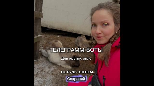 ТЕЛЕГРАММ БОТЫ ТЕЛЕГРАММ БОТЫ