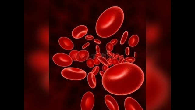 Может ли меняться группа крови человека? Может ли меняться группа крови человека?