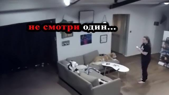 10 Самых Страшных Видео в Мире | Новая Подборка #26 10 Самых Страшных Видео в Мире | Новая Подборка #26