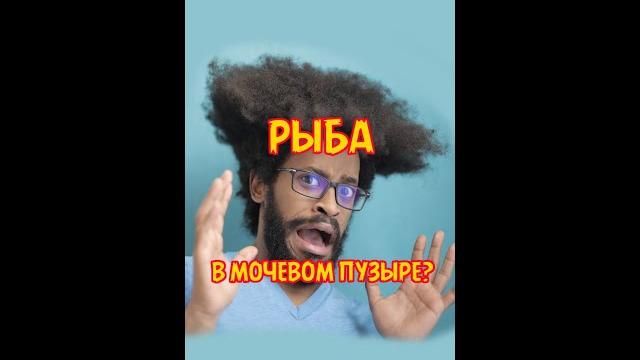 Рыба в мочевом! пузыре?! Рыба в мочевом! пузыре?!