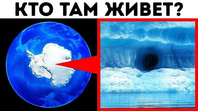 В Антарктиде нашли странную пещеру с лестницей! В Антарктиде нашли странную пещеру с лестницей!