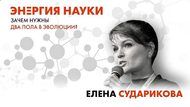 Лекция Елены Судариковой "Зачем нужны два пола в эволюции?" Лекция Елены Судариковой "Зачем нужны два пола в эволюции?"