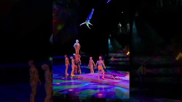 Mystère's Girls are Amazing | Cirque du Soleil Mystère's Girls are Amazing | Cirque du Soleil