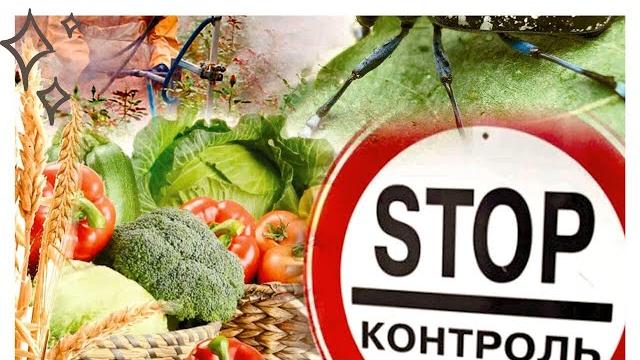 Праздник «День создания Государственной службы карантина растений» в 2021 году отмечается 5 июня Праздник «День создания Государственной службы карантина растений» в 2021 году отмечается 5 июня