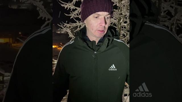История про бандита Гришу-Авангард История про бандита Гришу-Авангард