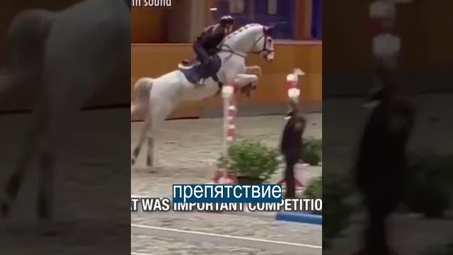 Конь пукает во время каждого прыжка Конь пукает во время каждого прыжка