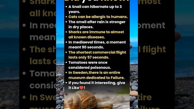 Did you know "there is a Museum of Failure in Sweden"? Did you know "there is a Museum of Failure in Sweden"?