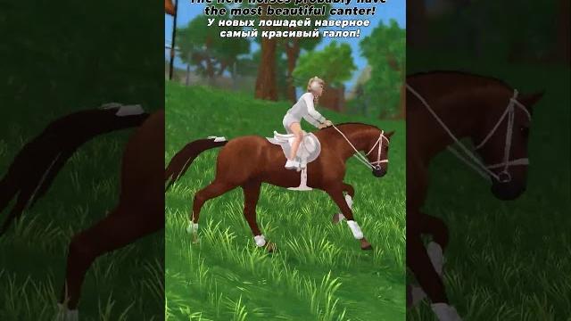 #horse #horses #sso #starstablehorses #starstable #starstableonline #starstableonlinehorses #horse #horses #sso #starstablehorses #starstable #starstableonline #starstableonlinehorses