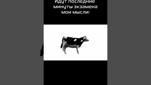 Мем #польскаякорова #мем #старыемемы #музыка #корова #коровка #рек #2023 #юмор #шутка #прикол Мем #польскаякорова #мем #старыемемы #музыка #корова #коровка #рек #2023 #юмор #шутка #прикол