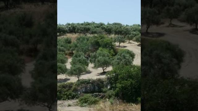 127 Псалом благословения и процветания. Блажен всякий боящийся Господа, ходящий путями Его! 127 Псалом благословения и процветания. Блажен всякий боящийся Господа, ходящий путями Его!