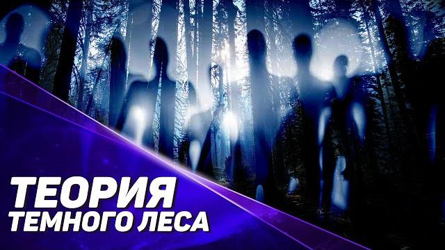 Что такое теория Тёмного леса? Что такое теория Тёмного леса?