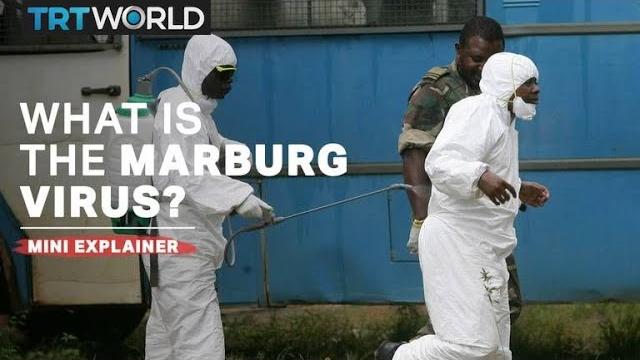 What is the Marburg virus disease? What is the Marburg virus disease?