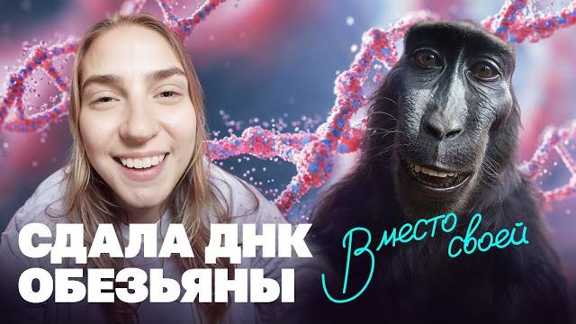 Что будет, если сдать на ДНК-тест слюну обезьяны? Что будет, если сдать на ДНК-тест слюну обезьяны?