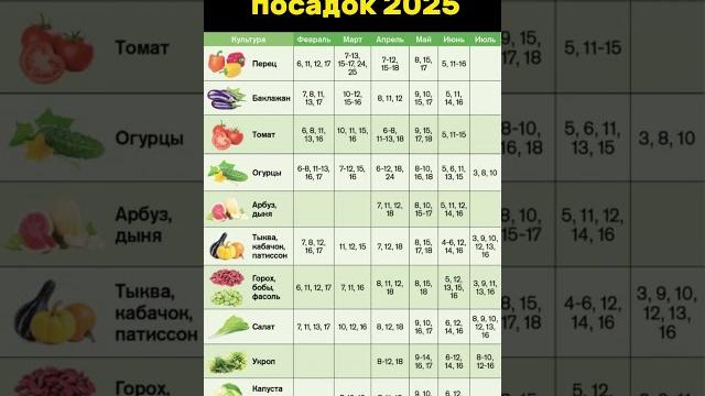 Лунный календарь посадок 2025 #tomato #дача #огород #растения #садоводство #ландшафтныйдизайн Лунный календарь посадок 2025 #tomato #дача #огород #растения #садоводство #ландшафтныйдизайн