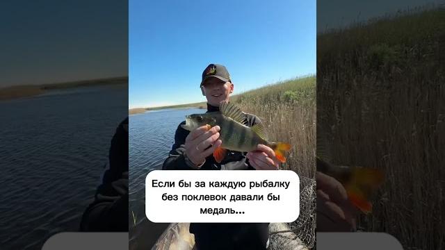 Подпишись, у нас много крутых роликов про рыбалку #рыбалка #рыба #окунь #прикол #мем #щука Подпишись, у нас много крутых роликов про рыбалку #рыбалка #рыба #окунь #прикол #мем #щука