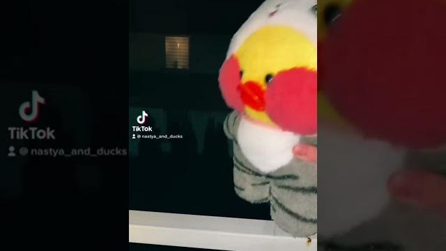 ЛАЛАФАНФАН УТОЧКА УПАЛА?! РАСПАКОВ ПОСЫЛКИ ДЛЯ УТКИ #lalafanfan #уточка #duck #утя #tiktok ЛАЛАФАНФАН УТОЧКА УПАЛА?! РАСПАКОВ ПОСЫЛКИ ДЛЯ УТКИ #lalafanfan #уточка #duck #утя #tiktok