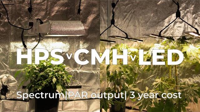 HPS Vs CMH Vs LED | Should you upgrade from HPS and MH? HPS Vs CMH Vs LED | Should you upgrade from HPS and MH?