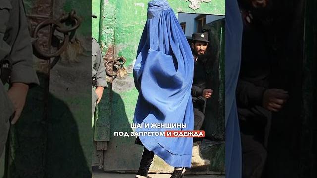 5 запретов, которые Талибан ввёл в Афганистане #афганистан #талибан #талибы #политика #факты 5 запретов, которые Талибан ввёл в Афганистане #афганистан #талибан #талибы #политика #факты