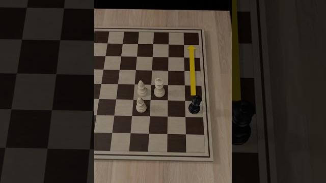 How to Checkmate with two bishops? How to Checkmate with two bishops?