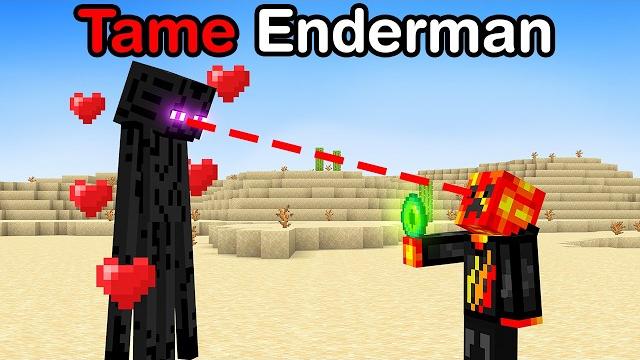Breaking 100 Minecraft Laws in 24 Hours! Breaking 100 Minecraft Laws in 24 Hours!