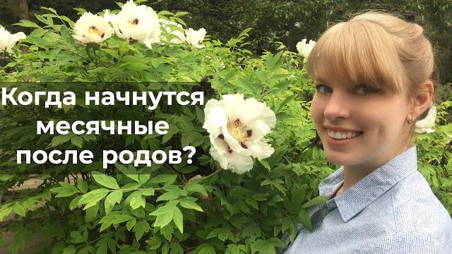Когда начнутся месячные после родов? Когда начнутся месячные после родов?