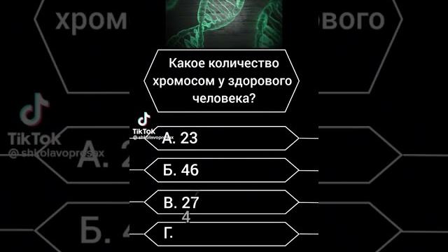 Сколько хромосом у человека Сколько хромосом у человека