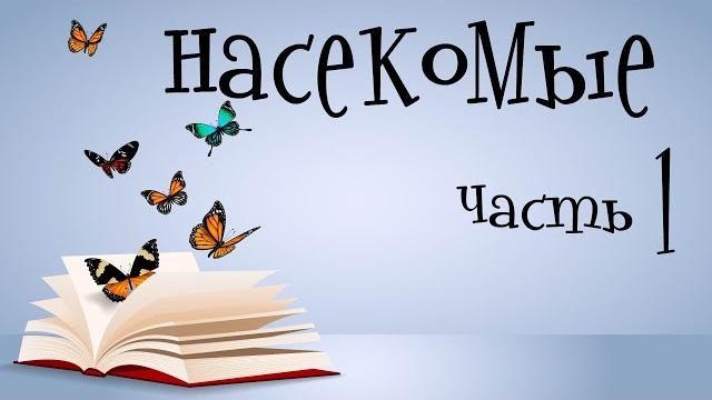 Насекомые для детей. Учим насекомых. Часть 1 Насекомые для детей. Учим насекомых. Часть 1