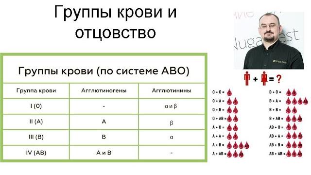 Определение отцовства по группам крови родителей Определение отцовства по группам крови родителей