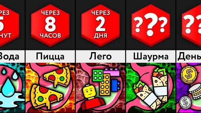 Сколько Переваривается ___? Сколько Переваривается ___?