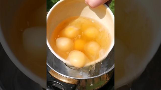 Не готовь Яйцо Пашот, пока не посмотришь это видео! Не готовь Яйцо Пашот, пока не посмотришь это видео!