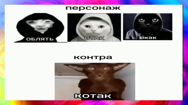 тик ток котак l подборка мемов тик ток котак l подборка мемов