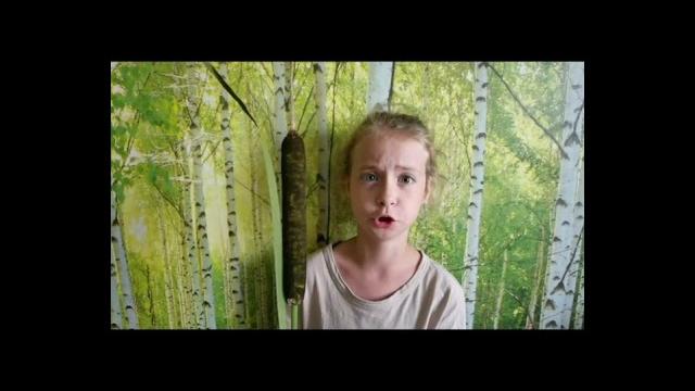 У меня камыш. У меня камыш.