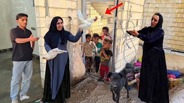 First day in the new houseSuddenly the neighbor came with an injured chickenWas Elham's dog to blame First day in the new houseSuddenly the neighbor came with an injured chickenWas Elham's dog to blame
