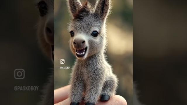 Милые животные#милыеживотные#звукиживотныз# Милые животные#милыеживотные#звукиживотныз#