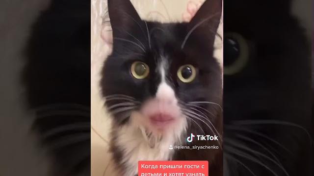 15 секунд смеха 15 секунд смеха
