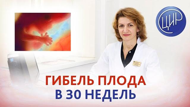 Антенатальная гибель плода в 30 недель после иссечения внутриматочной перегородки. Что делать? Антенатальная гибель плода в 30 недель после иссечения внутриматочной перегородки. Что делать?