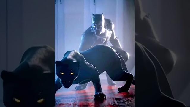 Tik Tok Black Panther Transformation Tik Tok Black Panther Transformation
