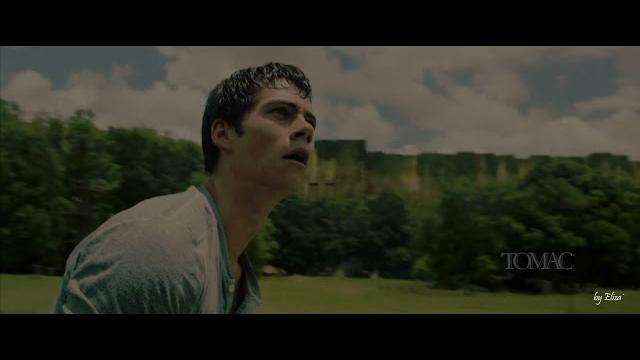 Бегущий в Лабиринте/The Maze Runner Бегущий в Лабиринте/The Maze Runner