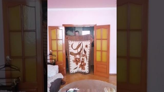 Фокус с собакой Шарпей Фокус с собакой Шарпей