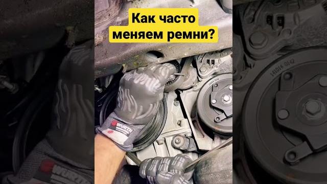 Как часто меняете ремни в автомобиле? Как часто меняете ремни в автомобиле?