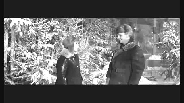 Старый клен (песня из кинофильма "Девчата") Старый клен (песня из кинофильма "Девчата")
